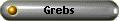 Grebs